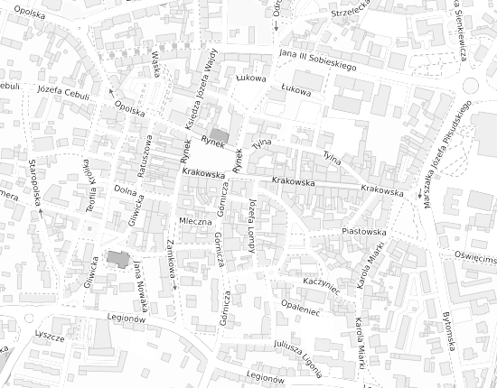 Mapa z adresem organizacji