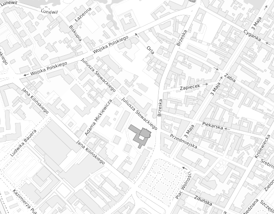 Mapa z adresem organizacji