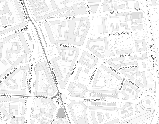 Mapa z adresem organizacji