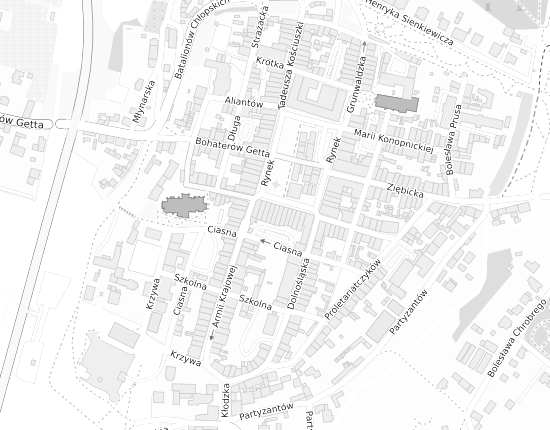 Mapa z adresem organizacji