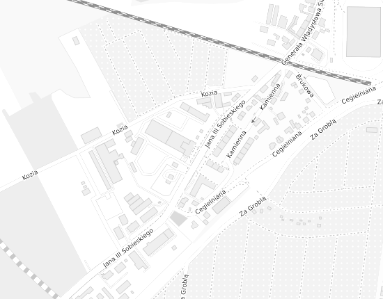 Mapa z adresem organizacji