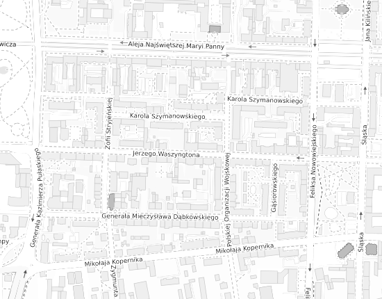 Mapa z adresem organizacji