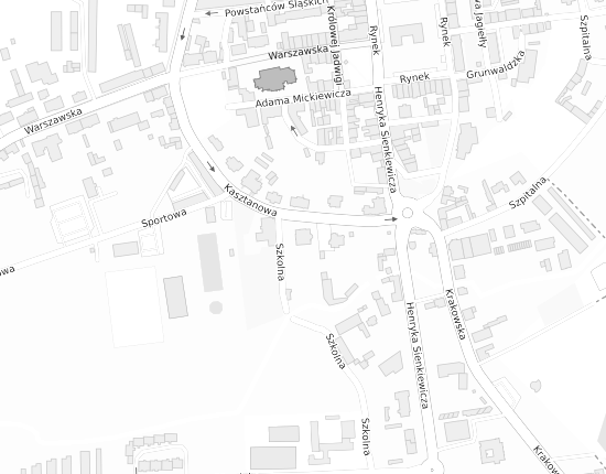 Mapa z adresem organizacji