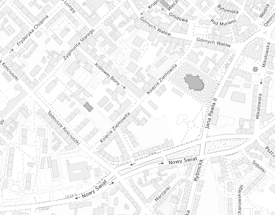 Mapa z adresem organizacji