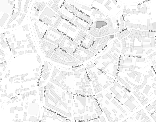 Mapa z adresem organizacji