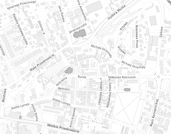 Mapa z adresem organizacji