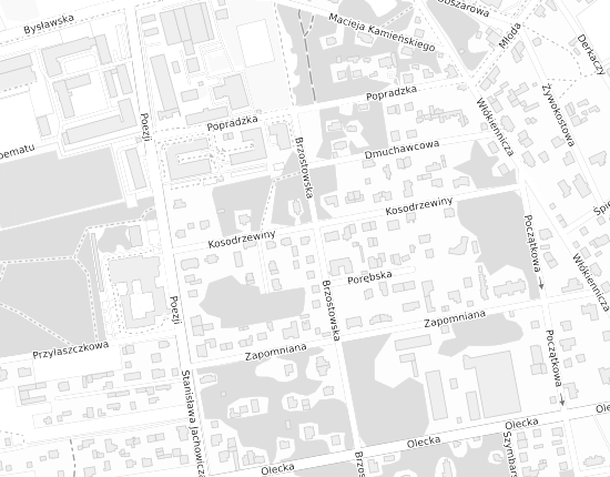 Mapa z adresem organizacji