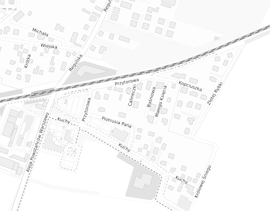 Mapa z adresem organizacji