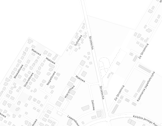 Mapa z adresem organizacji