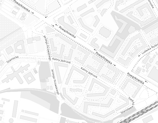 Mapa z adresem organizacji