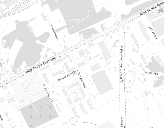 Mapa z adresem organizacji