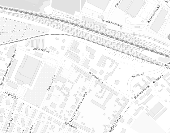 Mapa z adresem organizacji