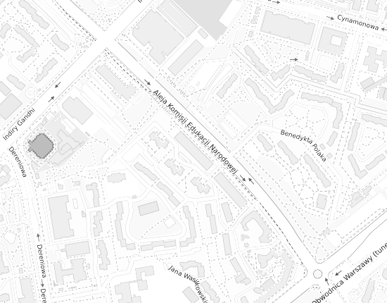 Mapa z adresem organizacji