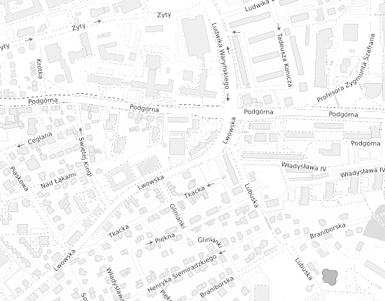 Mapa z adresem organizacji