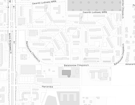 Mapa z adresem organizacji