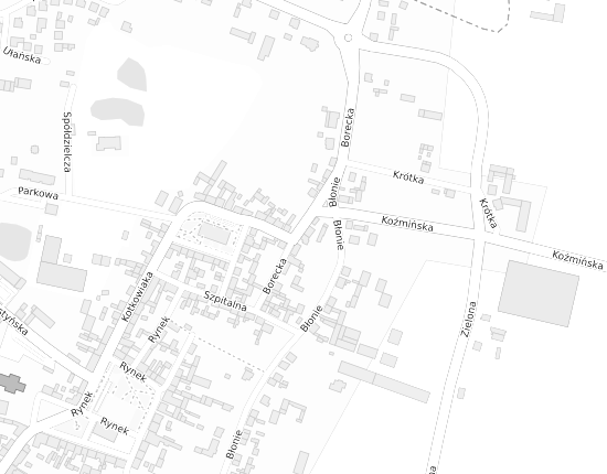 Mapa z adresem organizacji