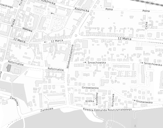 Mapa z adresem organizacji