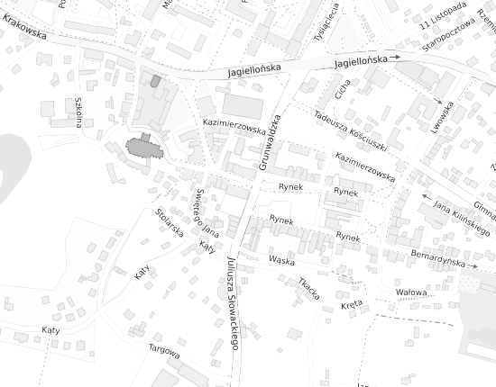Mapa z adresem organizacji