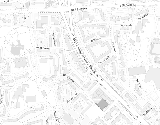 Mapa z adresem organizacji