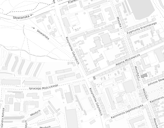 Mapa z adresem organizacji