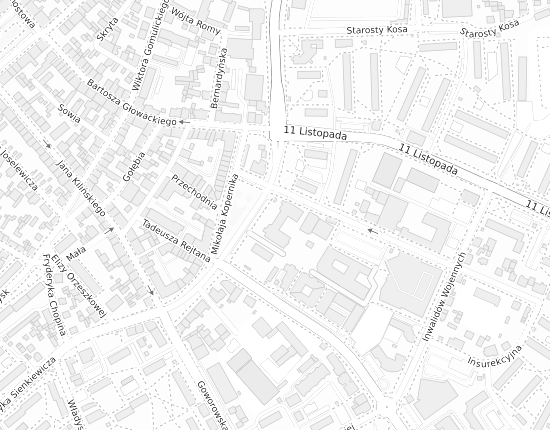 Mapa z adresem organizacji