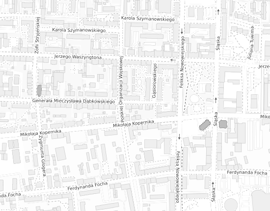 Mapa z adresem organizacji