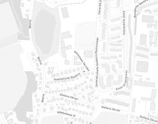 Mapa z adresem organizacji