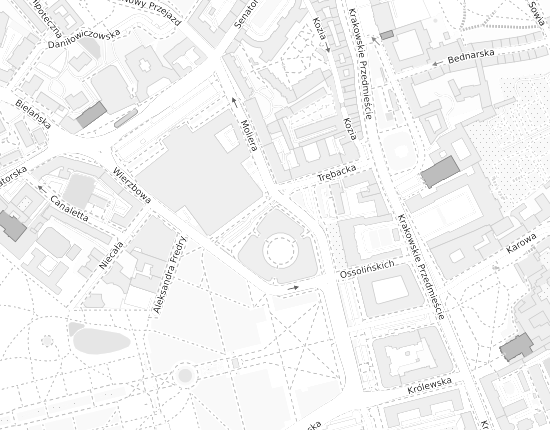Mapa z adresem organizacji