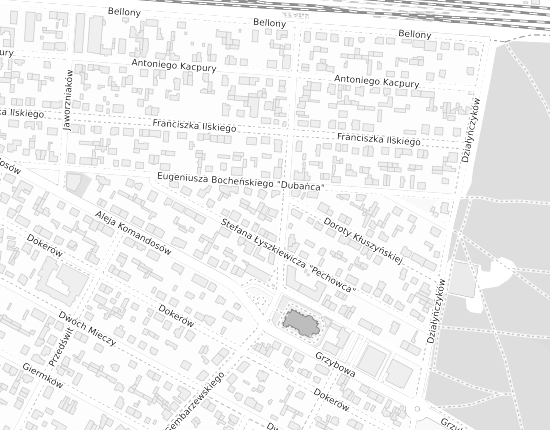 Mapa z adresem organizacji