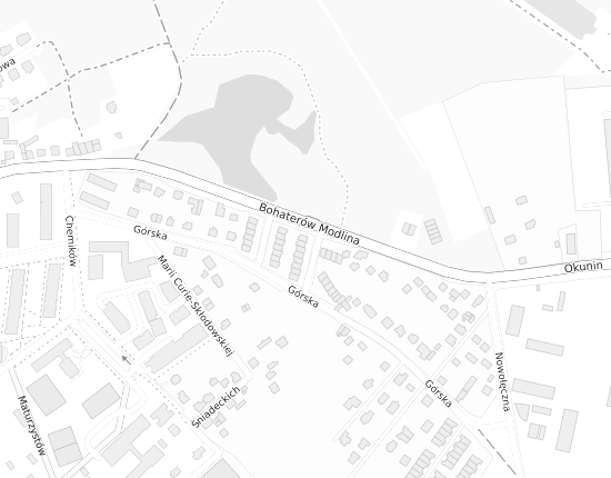 Mapa z adresem organizacji