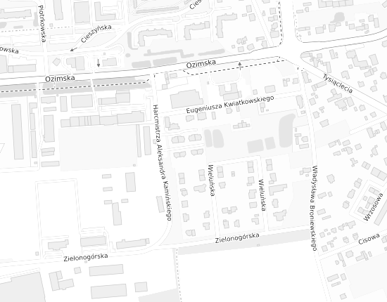 Mapa z adresem organizacji
