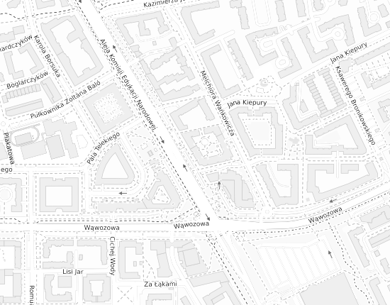 Mapa z adresem organizacji