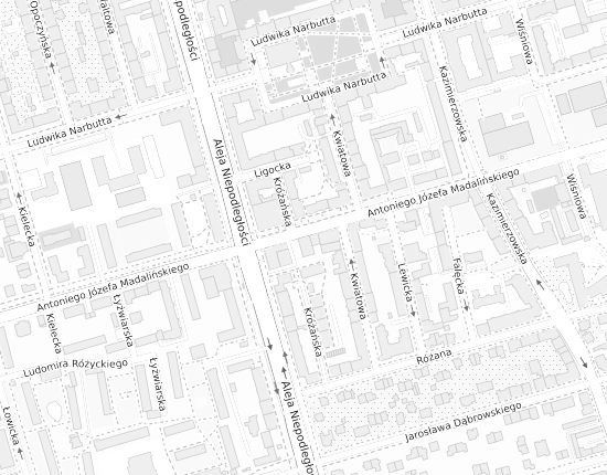 Mapa z adresem organizacji