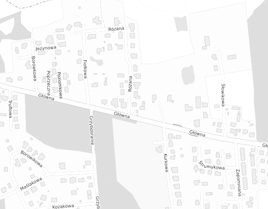 Mapa z adresem organizacji