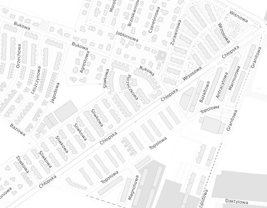 Mapa z adresem organizacji