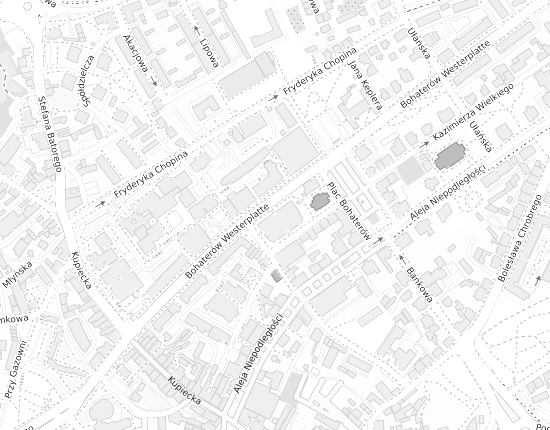 Mapa z adresem organizacji