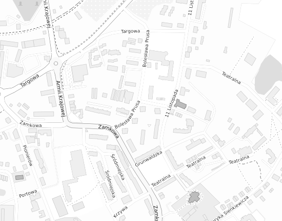 Mapa z adresem organizacji