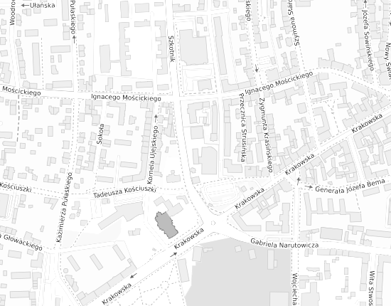 Mapa z adresem organizacji