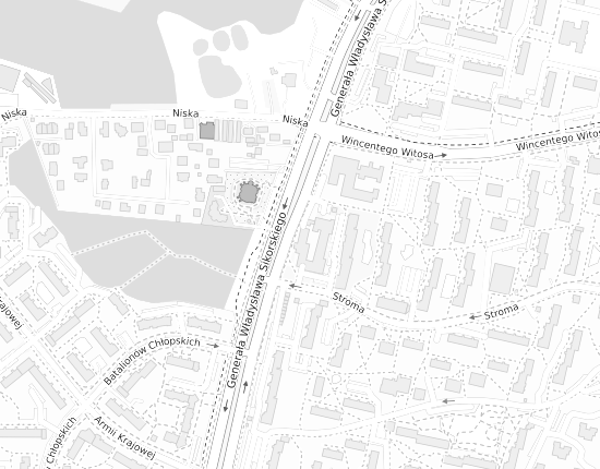 Mapa z adresem organizacji