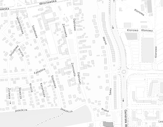Mapa z adresem organizacji