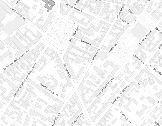 Mapa z adresem organizacji
