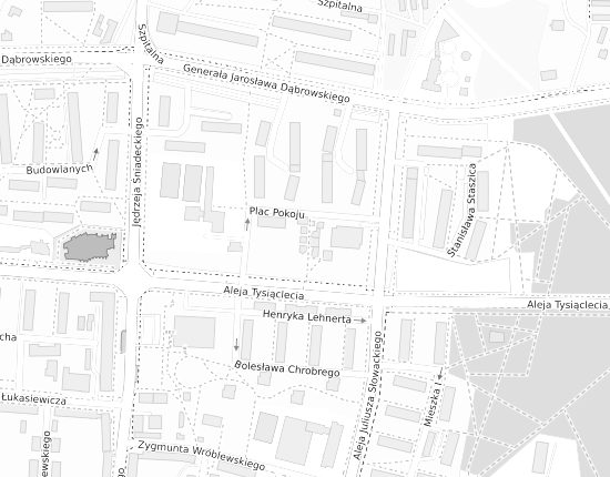 Mapa z adresem organizacji