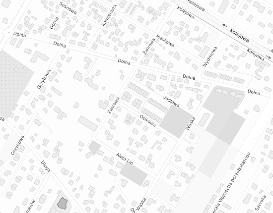 Mapa z adresem organizacji