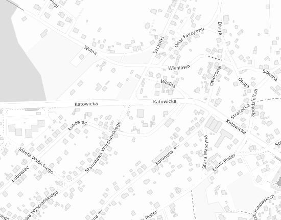 Mapa z adresem organizacji