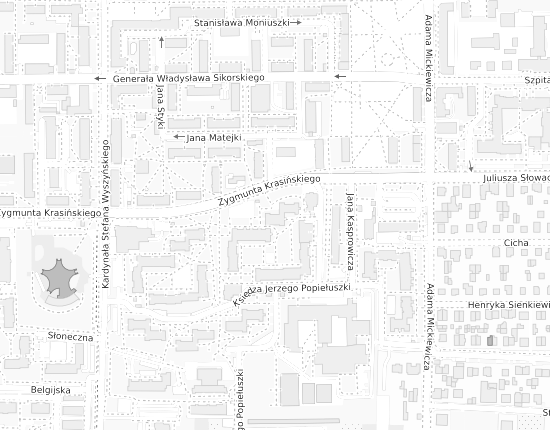 Mapa z adresem organizacji