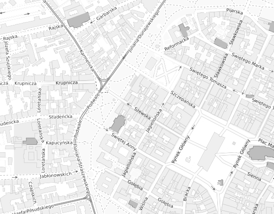 Mapa z adresem organizacji