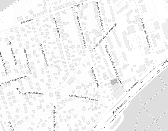 Mapa z adresem organizacji