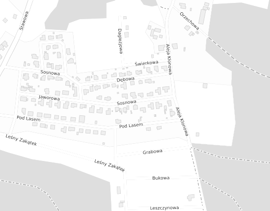 Mapa z adresem organizacji