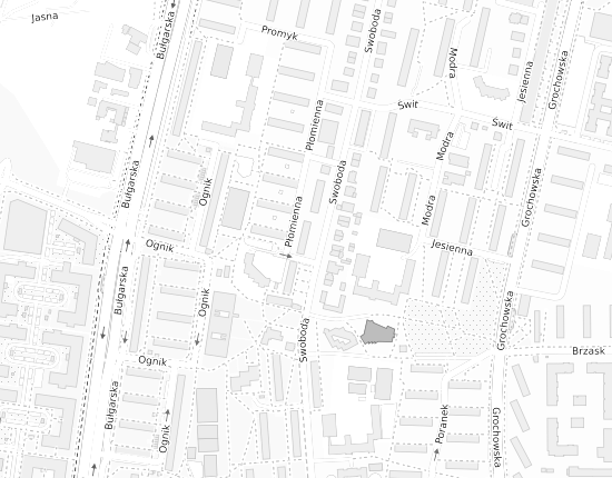 Mapa z adresem organizacji