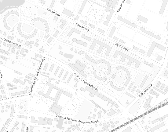 Mapa z adresem organizacji